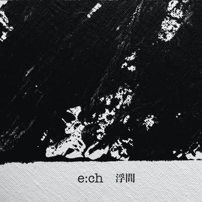 Cover art: e:ch — The State of ___ (Day's Eye Records, 2013)