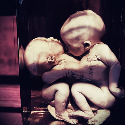 Cover art: Maenad & the Ravers — Abandoned Rooms and Burnt Offerings: A Collection of Invocations (Day's Eye Records, 2024)